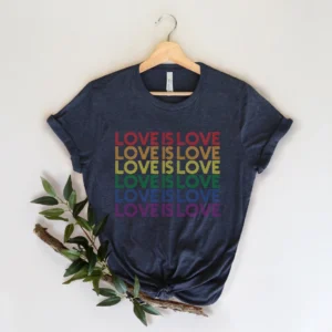 Love is Love Shirt – LGBT Shirt – LGBTQ Pride Shirt – Equality Shirt – Human Rights Shirt – Kindness Shirts – LGBTQ Support Tee – Queer Gift