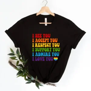 I See You I Accept You I Love You Shirt – LGBT Shirt – Pride Shirt – LGBTQ Ally Shirt – Gay Pride Gift